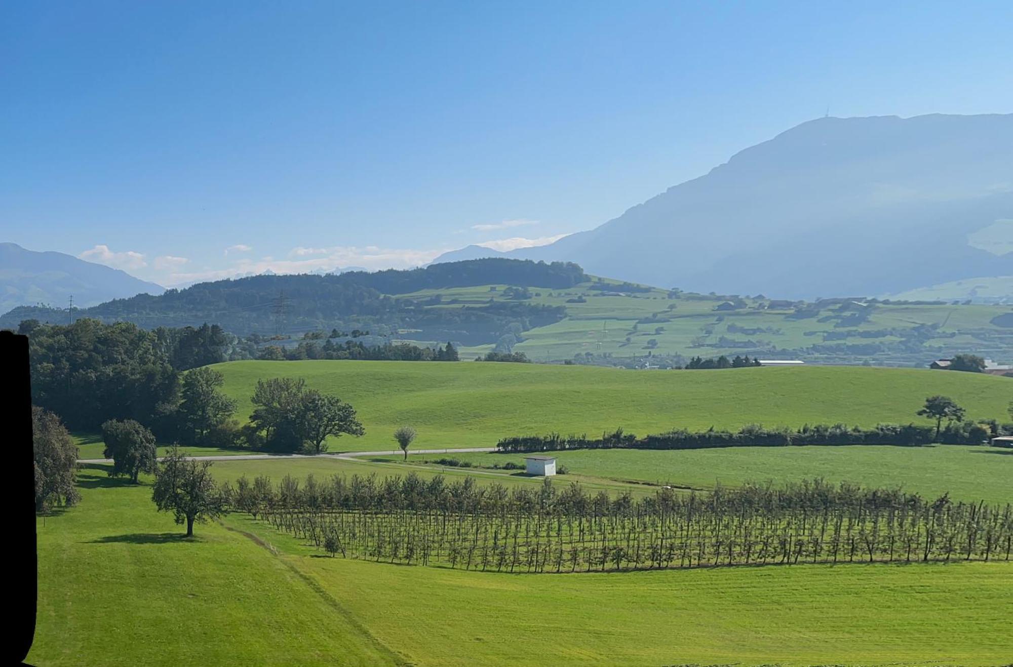 In Swiss Traeumli *